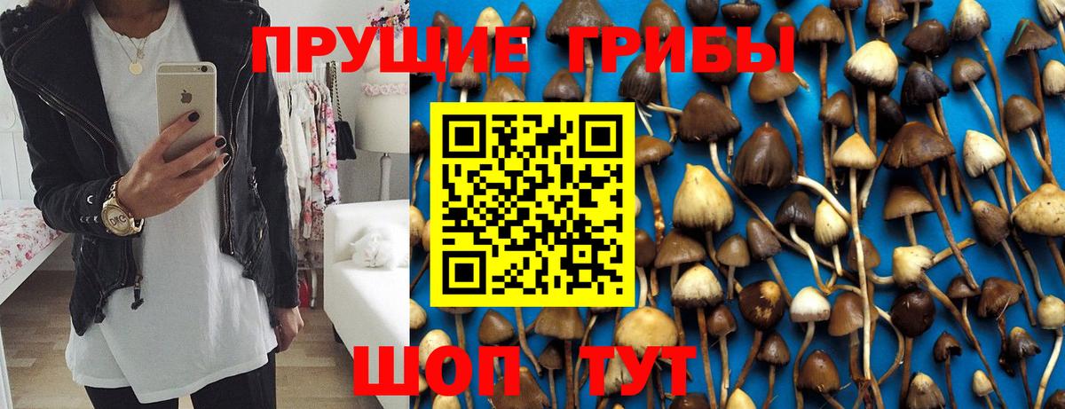 Псилоцибиновые грибы ЛСД Мурино