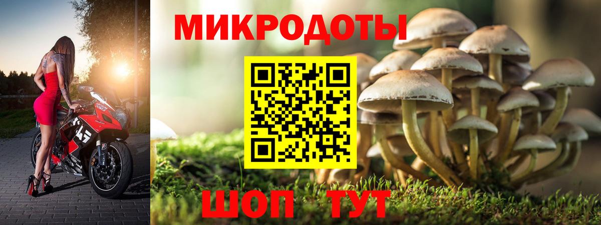 Мурино  Галлюциногенные грибы прущие грибы  Вход с VPN 
